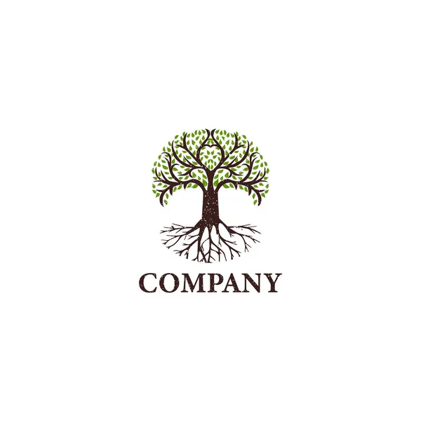 Tree Life Oak Banyan Leaf Root Seal Logo Applied Business Vector Graphics