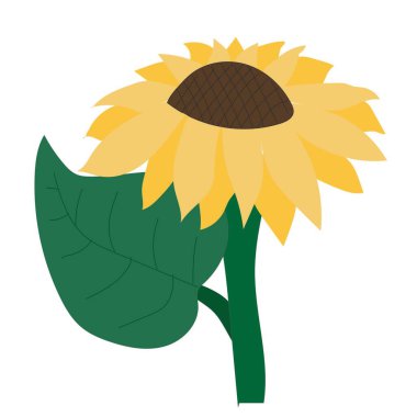 Çizgi film tarzında ayçiçeği. Vektör stok illüstrasyonu beyaz arkaplanda izole edildi.