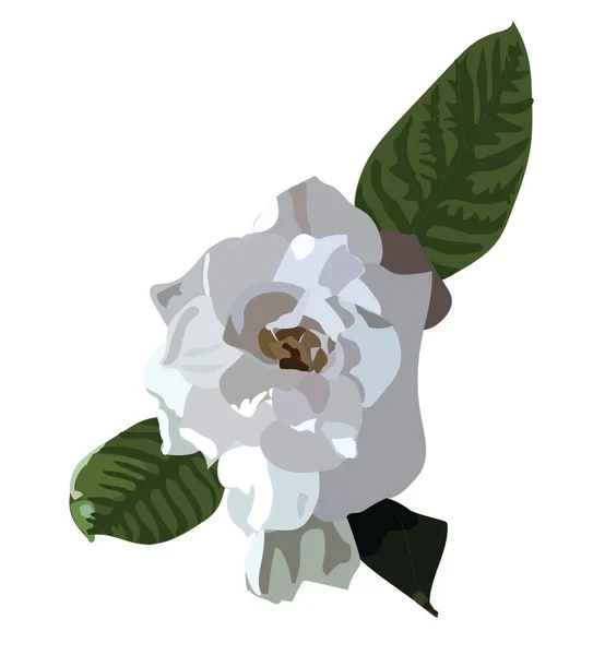 Gartenia Blume Stil Des Realismus Vektorstockillustration Auf Weißem Hintergrund Für — Stockvektor