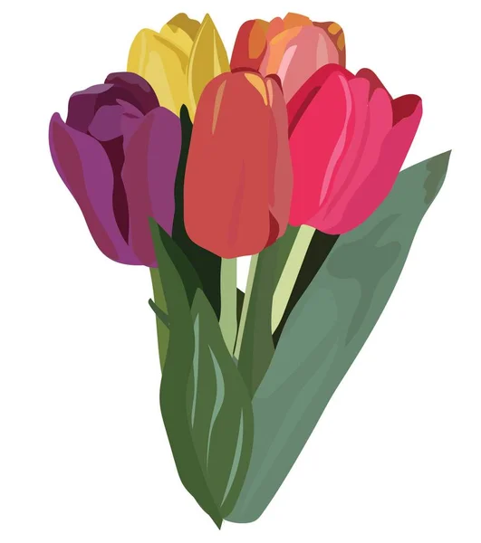 Tulipanes Flores Primavera Bouquet Patrón Sin Costuras Ilustración Para Una — Vector de stock