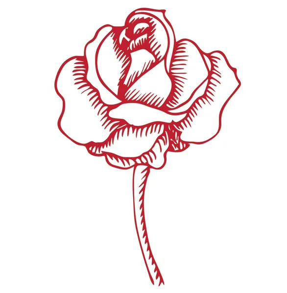 Rose Doodle Stil Rote Linie Vektorstockillustration Auf Weißem Hintergrund Für — Stockvektor