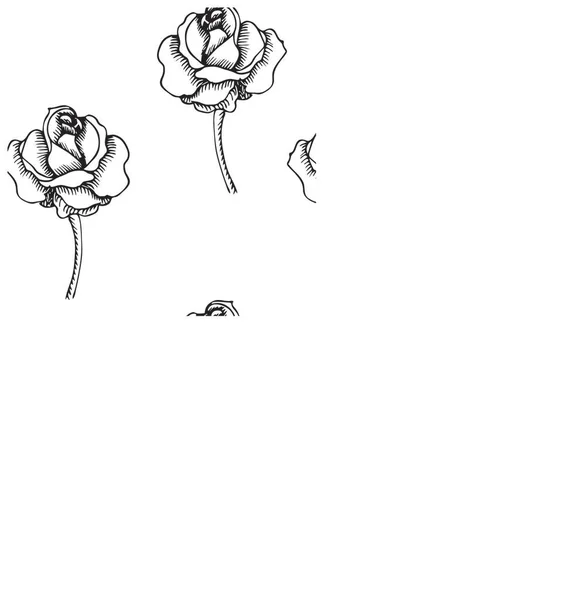 Rosenblüte Doodle Stil Nahtloses Muster Vektoraktiendarstellung Isoliert Auf Weißem Hintergrund — Stockvektor