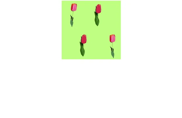 Tulpen Voorjaarsbloemen Boeket Naadloos Patroon Illustratie Voor Een Bruiloft Verjaardag — Stockvector