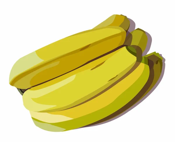 Bananas Bunch Ripe Juicy Yellow Sweet Fruit Vector Stock Illustration — Stock Vector