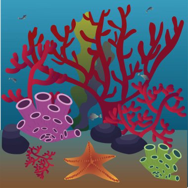 Mercanlar, süngerler, taşlar, deniz tabanındaki algler. Kavram. Vektör stok illüstrasyonu.
