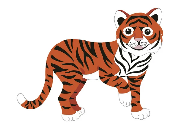 Tigre Chino Ilustración Stock Vectorial Aislada Sobre Fondo Blanco — Archivo Imágenes Vectoriales