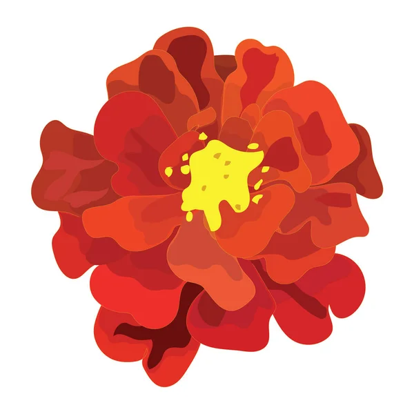 Orangefarbene Ringelblume Symbol Des Mexikanischen Feiertags Der Toten Vektoraktiendarstellung Isoliert — Stockvektor