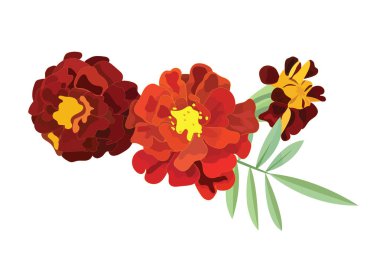 Turuncu takvim, Meksika Ölüler Günü 'nün sembolü. Dekoratif element, buket. Vektör stok illüstrasyonu beyaz arkaplanda izole edildi.