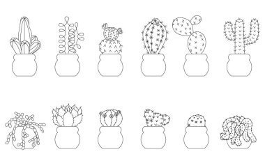 Bir kaktüsün taslağı. Kit. Vektör stok illüstrasyonu beyaz arkaplanda izole edildi.