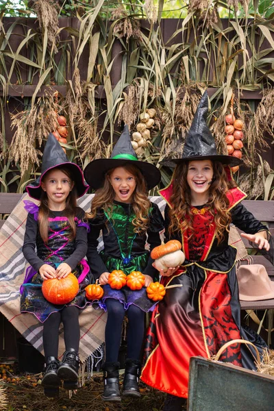 Šťastný Holky Kostýmu Čarodějnice Hodně Dýní Podzim Halloween — Stock fotografie