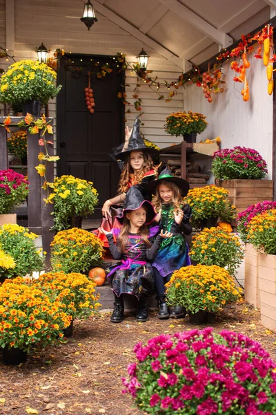 Boldog Lányok Boszorkány Jelmezek Ünneplik Szórakoztató Halloween Tök — Stock Fotó