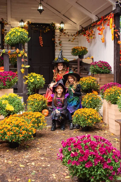 Ragazze Felici Costume Strega Festeggiano Divertimento Halloween Con Zucca — Foto Stock