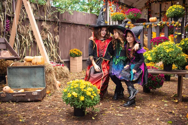 Tři Malé Čarodějky Slaví Halloween Fun — Stock fotografie