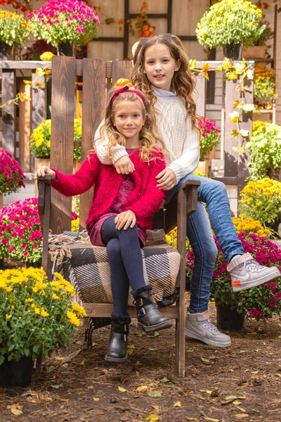 Dwie Szczęśliwe Dziewczyny Siostry Przytulające Się Ogrodzie Jesienią — Zdjęcie stockowe