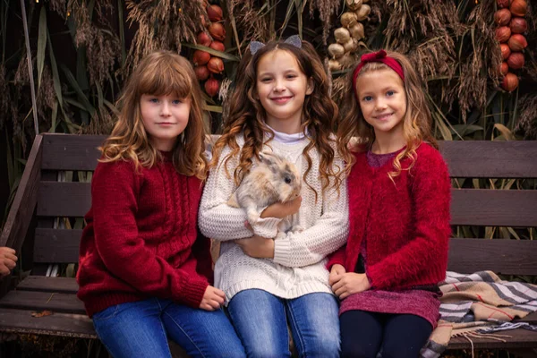 Три Маленькі Дівчата Кроликом Руках Восени Парку — стокове фото