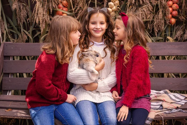Trzy Małe Dziewczynki Królikiem Ramionach Jesienią Parku — Zdjęcie stockowe