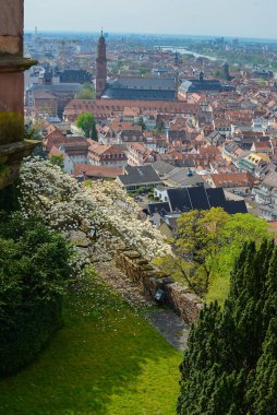 Almanya 'nın sembolü, etkileyici bir şatosu ve köprüsü olan güzel ortaçağ şehri Heidelberg' dir.