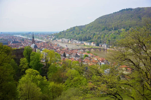 Symbole Allemagne Est Belle Ville Médiévale Heidelberg Avec Château Impressionnant — Photo