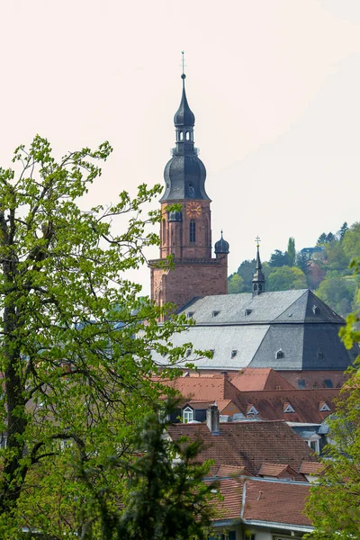 Symbole Allemagne Est Belle Ville Médiévale Heidelberg Avec Château Impressionnant — Photo