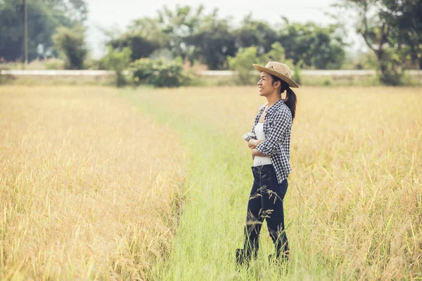美の肖像アジアの女性農民の帽子の笑顔と彼女の米の世話をする金の田んぼに立つ 若い起業家が農場を始め — ストック写真