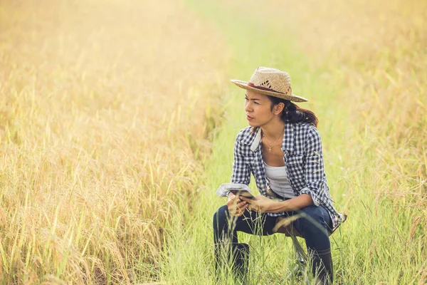 Potrait Beauty Asiatische Bäuerin Mit Hut Und Smartphone Sitzt Goldenen — Stockfoto