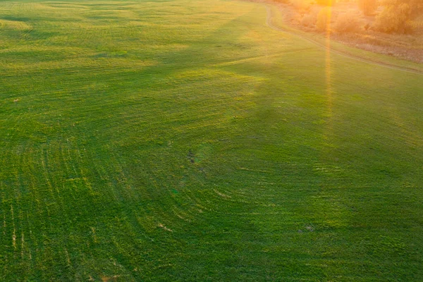 Zelené Pole Sluneční Paprsky Venkovská Krajina — Stock fotografie