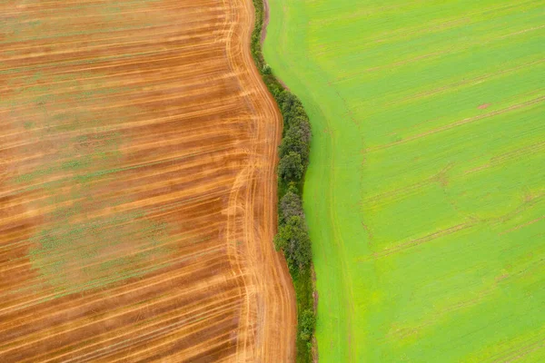 Aerial View Meadows Fields Green Field — Stock Photo, Image