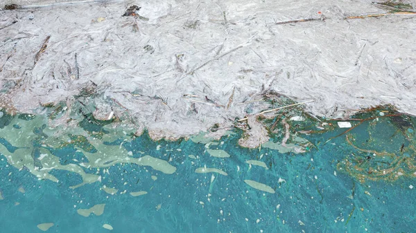 Грязные Пятна Поверхности Воды Озера Загрязненные Сбросом Промышленных Сточных Вод — стоковое фото