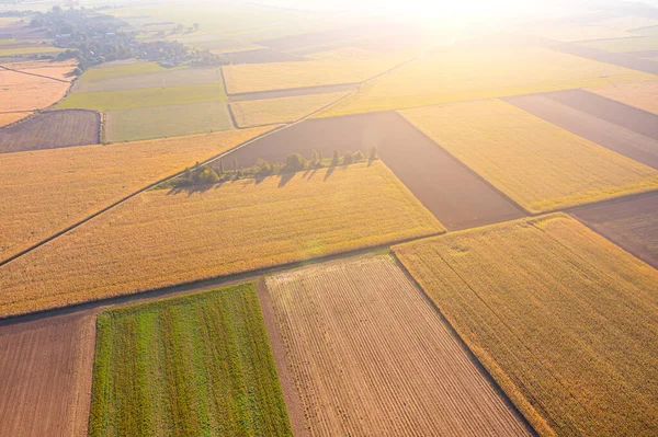 青空に対する農地の空中風景 — ストック写真