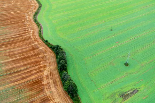 Vista Aérea Prados Campos Campo Verde — Foto de Stock