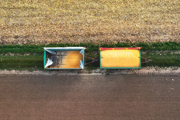 Много Кукурузы Трейлере Собрано Кукурузного Поля Сбора Урожая Вид Сверху — стоковое фото