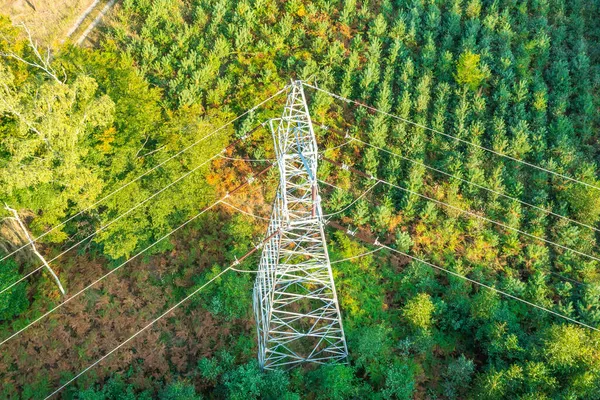 Torre Elettrica Alta Tensione Tra Gli Alberi Torri Trasmissione Potenza — Foto Stock