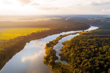 Yaz manzarası. Dönen bir nehir ağaçların ve tarlaların arasından akar.