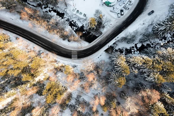Manzara. Karlı bir ormanda, kış yolundaki yüksek bir yerden manzara..