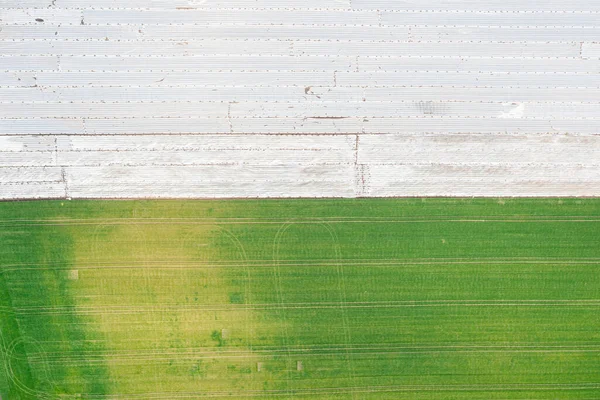 Campo All Inizio Della Primavera Rivestito Polietilene Isolamento Termico Campo — Foto Stock