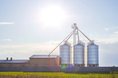 Modern tahıl ambarı, tahıl kurutma tesisi, tarladaki bir çiftlikte asansörler, tarım. Mavi gökyüzüne karşı