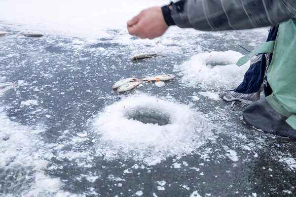 氷上釣りの餌を変える漁師 氷上釣りの冷凍手 — ストック写真
