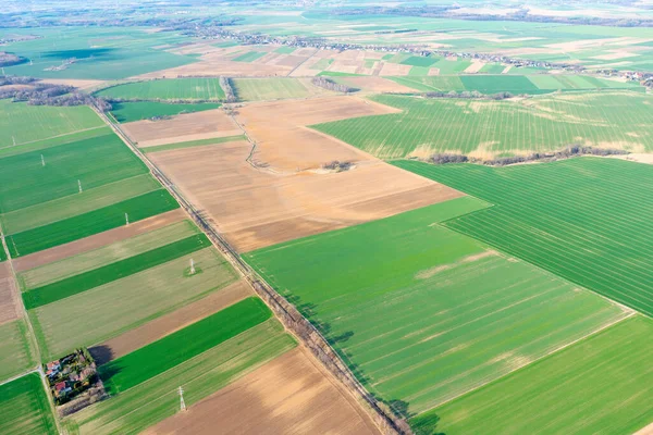 Top View Bright Green Fields Sown Wheat Corn Rural Landscape — Zdjęcie stockowe