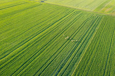 Yukarıdan yeşil arazilere, doğanın manzarasına bak