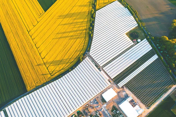野菜や果物を販売するための大量栽培のための大規模な近代的な温室 温室の空中ビュー — ストック写真