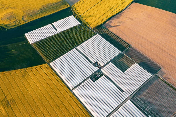 Grandes Áreas Estufas Para Cultivo Legumes Frutas Agricultura Estufa Nos — Fotografia de Stock