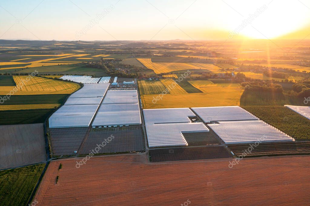 Modern agriculture. Aerial view of greenhouses for expressing greenery, big farm, agriculture, summer landscape