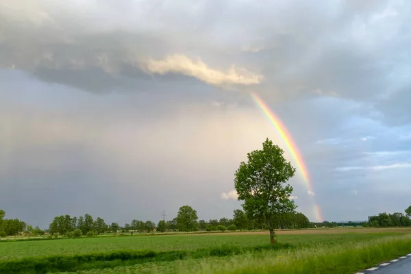 緑の畑に虹がある美しい夏の風景 — ストック写真
