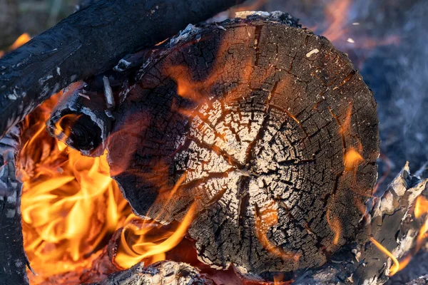 Burning Firewood Burnt Stump Fire Beautiful Burnt Wood Pattern Wood — Foto de Stock