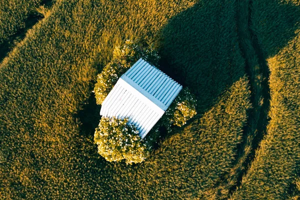 Top View Abandoned House Middle Field — Fotografia de Stock