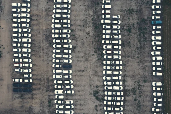 Aerial View Large Car Park White Cars — Foto Stock
