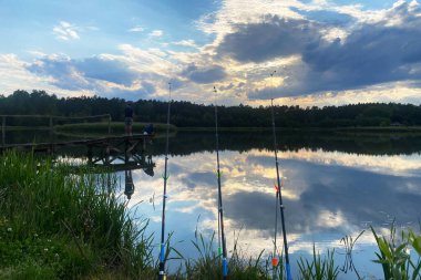 Güzel bir yaz akşamı gölde gün batımında, yaz akşamı göl manzarasında ve ormanda.