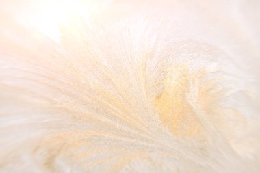 Pencere camında dondurucu kış deseni, sıcak renklerde buzla kaplı kış arkaplanı.