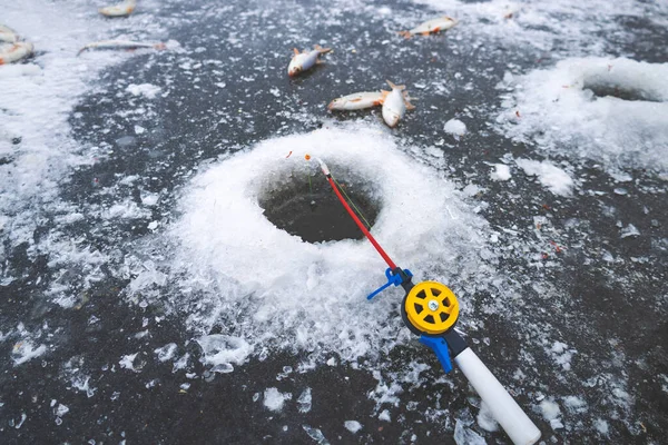 Winter fishing rod for ice fishing near the hole lies in the snow, winter fishing