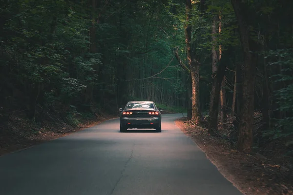 Coche Atraviesa Denso Bosque Oscuro — Foto de Stock